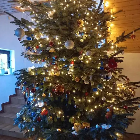 Tina A Petr , Lunz Am Lunz am See