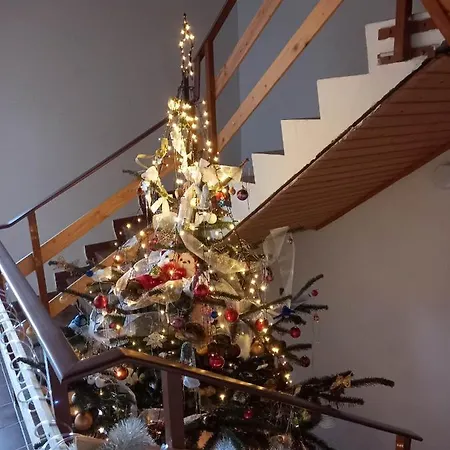 Tina A Petr , Lunz Am