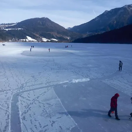 Tina A Petr , Lunz Am