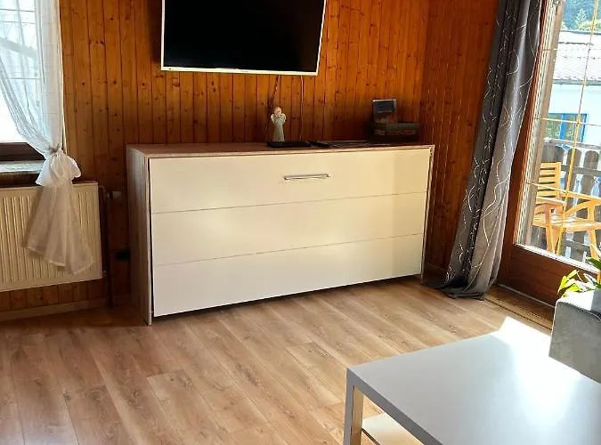 Tina A Petr , Lunz Am