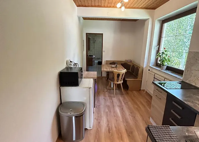 Tina A Petr , Lunz Am