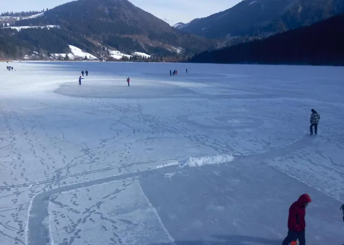 Tina A Petr , Lunz Am